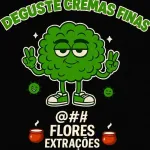 Icone ShopFlex Cannabis
