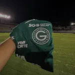 Icone Goias