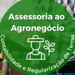 Icone IA -  Assessoria ao Agronegocio, Contabilidade e Regularizacao de Terras