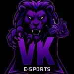 Icone RECRUTAMENTO DA VK E-SPORTS