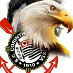 Icone Noticias do timao