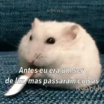 Icone Incrivel mundo kpop
