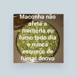 Icone Fas do Flix(Whats)