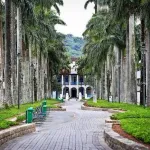 Foto do grupo cambada de joinvas