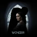 Icone Filmes, Series, Animes, Desenhos E Novelas | WONDER