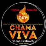 Icone Chama Viva