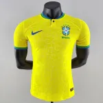 Icone Camisa Selecao Brasil