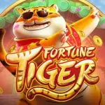 Icone Fortune Tiger