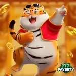 Icone ROBO DO FORTUNE TIGER