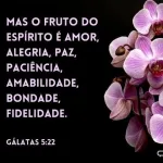 Icone Comunidade cristã