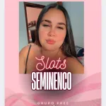 Icone Slots seminenco 🤑