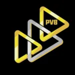 Foto do grupo PV8 TV