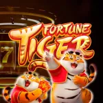 Icone Dicas fortune