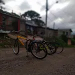 Icone Grau é arte, não crime ☯️✌️