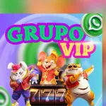 Foto do grupo VIP/ SUPORTE RAFHA 💸