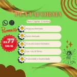 Icone Extrator de contatos