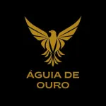 Icone #99 Grupo Seleto – Apresentação de Negócio 🦅💰