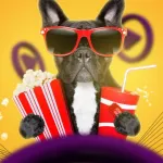 Foto do grupo FILMES, SÉRIES E CANAIS AO VIVO – IPTV
