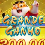 Foto do grupo FORTUNE TIGER HÓRARIOS!🤑🐯