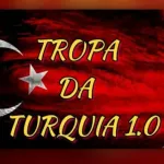 Icone Grota