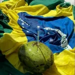Icone 🍻߫ 𝔽𝗈𝗿𝗆𝗌 ─ 🌿╰ ░