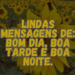 Icone Bom dia boa tarde boa noite