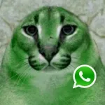 Icone viejs flopers