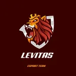 Foto do grupo Recrutamento LEVITAS