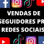 Icone Revenda Seguidores Baratos