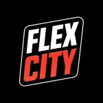 Icone FLEX CITY LATAM