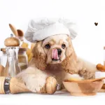 Icone 30 receitas para pets