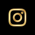 Icone Seguidores & Engajamento