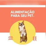 Icone Receitas saudaveis para pets