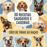 Icone 30 Receitas saudaveis e caseiras