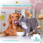 Icone Pets e seus cuidados