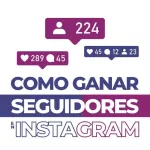 Icone Seguidores gratis so aqui