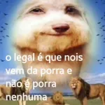 Icone Caps Brasil