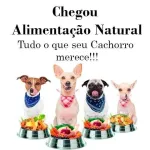 Icone Alimentacao saudavel pra cachorro