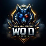 Icone RECRUTAMENTO WOD SPORTS PR