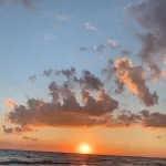 Icone sunset lovers