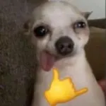 Icone SEM FUTUROS