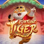 Icone SLOW PG | FORTUNE TIGER